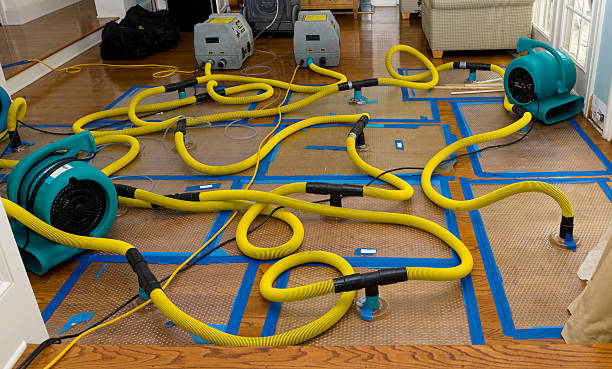 Professional Basement Flood Cleanup technician working in Providence, KY